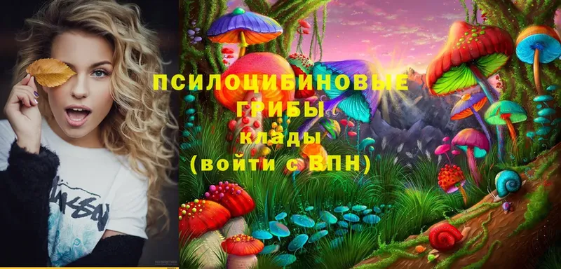 Псилоцибиновые грибы MAGIC MUSHROOMS  Туринск 